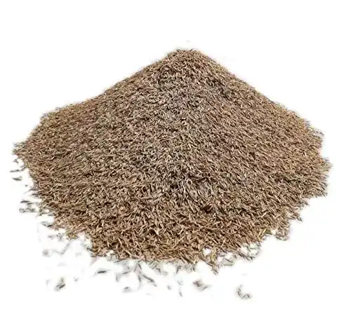 Schattenrasen-Samen von Samenshop24 für schattige Gartenbereiche