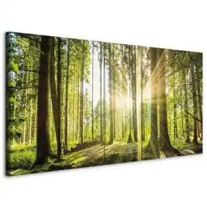 Akustikbild B&D XXL Wald 225×90 cm 5-teilig mit Akustikschaum
