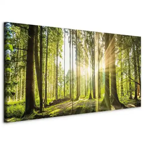 Akustikbild B&D XXL Wald 225×90 cm 5-teilig mit Akustikschaum