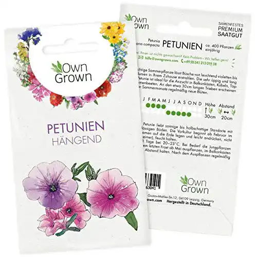 Petunien Samen für Balkon und Garten Owngrown Petunie Samen