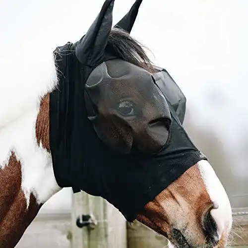 Fliegenmaske für Pferde von Kentucky Horsewear Slim Fit aus Lycra