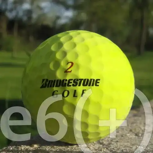 Bridgestone Golfbälle 50 E6 Gelb Lakeballs im Vergleich