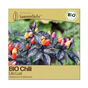 Bio Chili Samen Lila Luzi – Samenliebe, 10 samenfeste Chilisamen