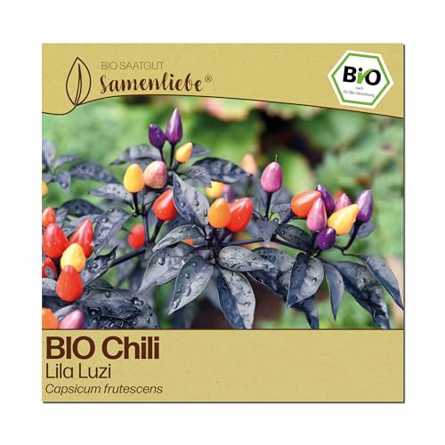 Bio Chili Samen Lila Luzi – Samenliebe, 10 samenfeste Chilisamen