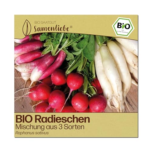 Radieschen Samen von Samenliebe – BIO Saatgut für Garten und Balkon