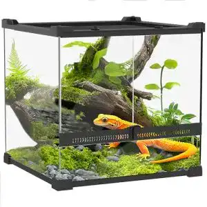 Paludarium Pawhut Terrarium für Reptilien 24L Glasterrarium