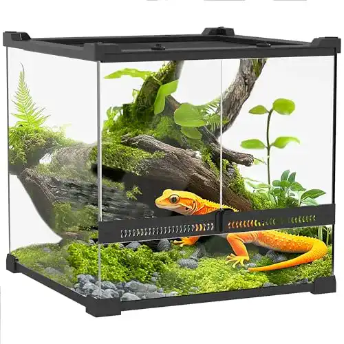 Paludarium Pawhut Terrarium für Reptilien 24L Glasterrarium