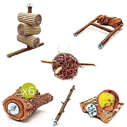Wellensittich Spielzeug Vogelgaleria 6-teiliges Set für Vögel