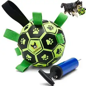 Hundeball mit Haltegriffen für Hunde Leuchtendes Spielzeug für drinnen und draußen