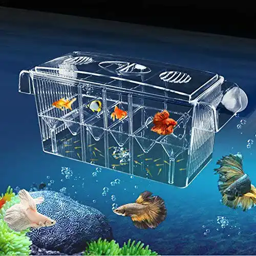 Fischzuchtbecken Hearthrousy für Aquarien und Ablaichkästen
