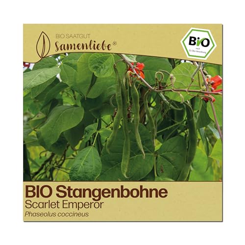 Stangenbohnen Samenliebe BIO – Scarlet Emperor