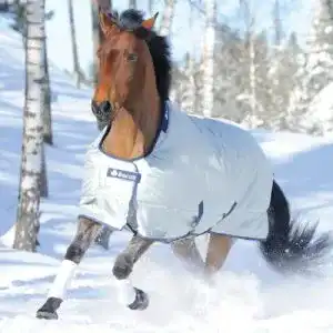Regendecke Bucas Power Turnout Light Big Neck 135 Silber