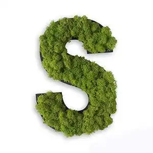 Moosbild Stylegreen Piktogramm Buchstabe S Aus Islandmoos