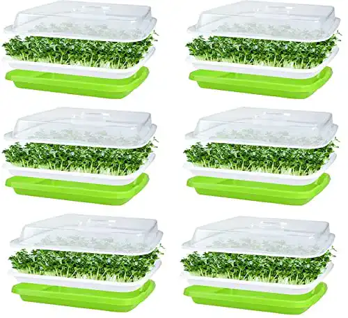 Keimsprossenbox Kaheign mit 6 Keimschalen für Sprossen
