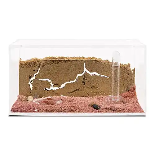 Ameisenfarm AntHouse Starter Set aus Sand und Acryl