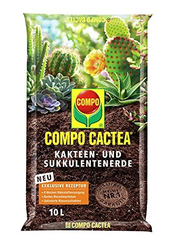 Compo CACTEA Kakteen- und Sukkulentenerde mit 8 Wochen Dünger, 10 Liter