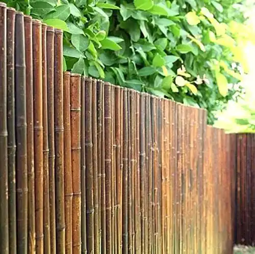 Bambuszaun Sichtschutz für Garten und Terrasse, geschlossen, 180×180 cm