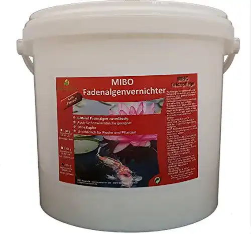 Mittel gegen Fadenalgen von Mibo Aquaristik