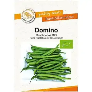 Bohnen Samen Domino Buschbohne von Bobby-Seeds