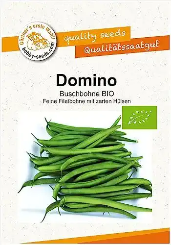 Bohnen Samen Domino Buschbohne von Bobby-Seeds