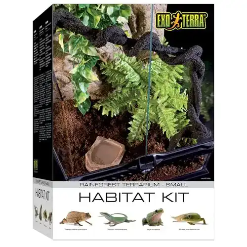 Terrarium Exo Terra Rainforest Habitat Kit für Einsteiger