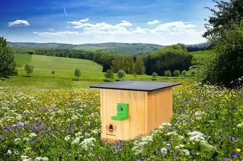 Hummelhaus N / A Hummelkasten Nisthilfe für Hummeln im Garten