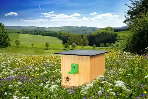 Hummelhaus N / A Hummelkasten Nisthilfe für Hummeln im Garten