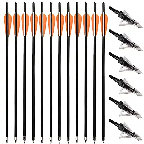 Armbrustpfeile PMSM 12 Stück Carbon 20 Zoll mit Jagdspitzen