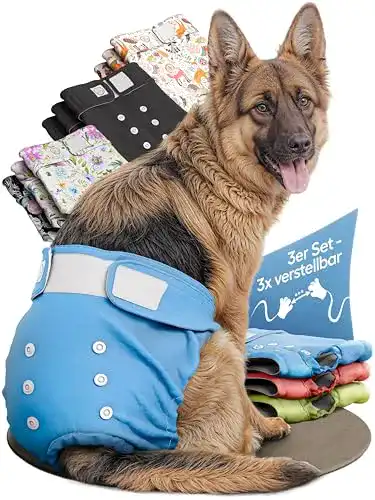 Läufigkeitshose für Hündinnen von Hund ist König – Hundewindeln