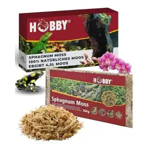 Sphagnum Moos für Terraristik 100g – Natürliches Substrat für Terrarien