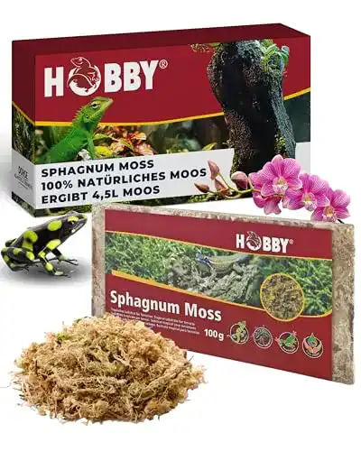 Sphagnum Moos für Terraristik 100g – Natürliches Substrat für Terrarien
