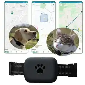 GPS Tracker für Hunde und Katzen – Fnd.U Guard GPS Tracker