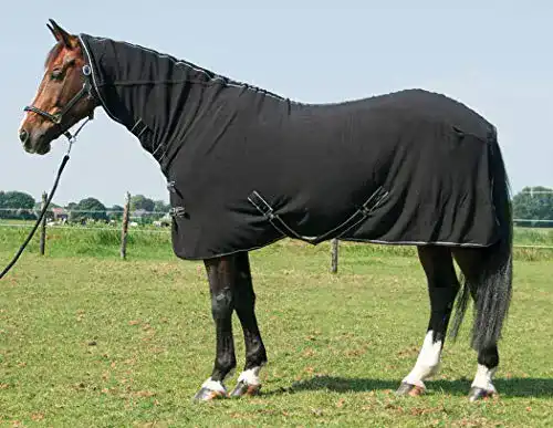 Abschwitzdecke Amesbichler Reitsport Harrys Horse Fleecedecke