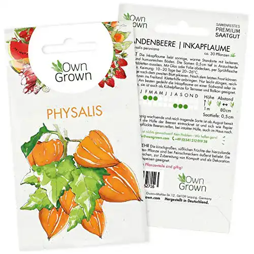 Physalis Samen für Andenbeeren – Hochwertiges Obstsaatgut