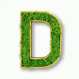 Moosbild Acryltypo Moosly Holzbuchstabe D mit Rahmen
