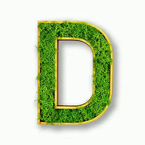Moosbild Acryltypo Moosly Holzbuchstabe D mit Rahmen