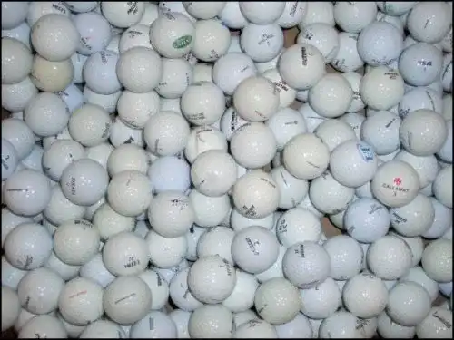 Lakeballs Diverse 100 – Teichbälle in AA-Qualität