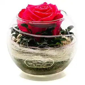 Ewige Rose im Glas mit Rosenduft, handgefertigt