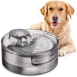 NPET Trinkbrunnen für große Hunde, 5L Automatischer Wasserspender