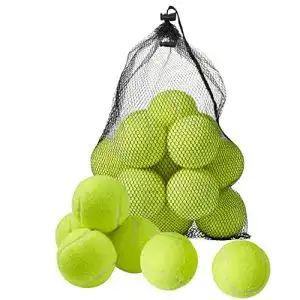 Tennisbälle Bramble im Set mit Tragetasche für Sport