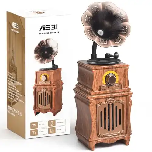 Colsur Retro Bluetooth Lautsprecher mit AM/FM Radio und 1800 mAh Akku