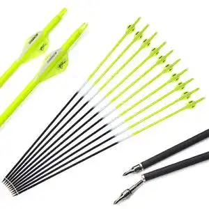 Carbonpfeile Sharrow 12 Stück 30 Zoll für Bogenjagd und Sport