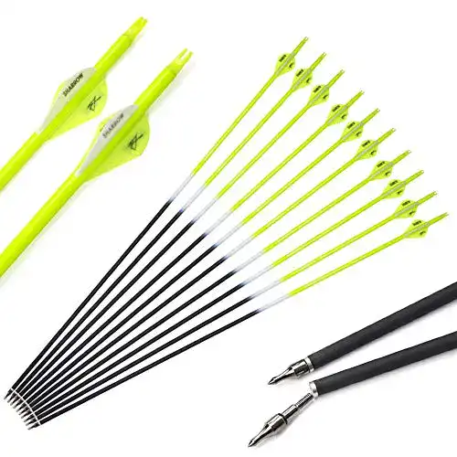 Carbonpfeile Sharrow 12 Stück 30 Zoll für Bogenjagd und Sport