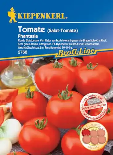 Tomatensamen Kiepenkerl Phantasia F1, 1 Portion