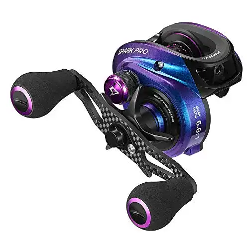 Baitcastrolle Piscifun Spark Pro – Flache Bauweise für Angler