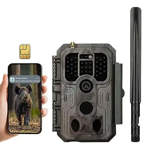 Wildkamera mit App Meidase S950 4G LTE für Wildtierbeobachtungen