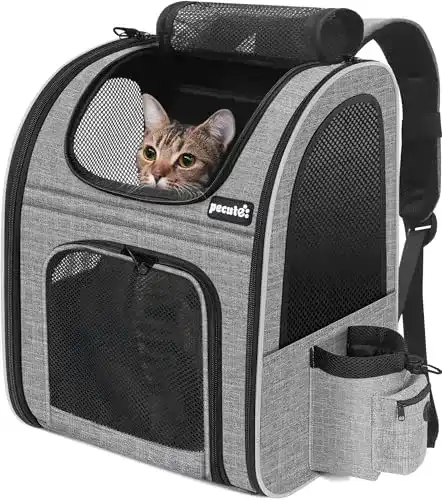 Katzenrucksack Pecute Haustier Rucksack mit Netzfenster und Faltfunktion