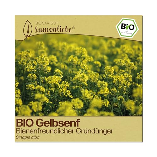 Bio Gelbsenf Samen von Samenliebe für Blumenbeete und Gründüngung