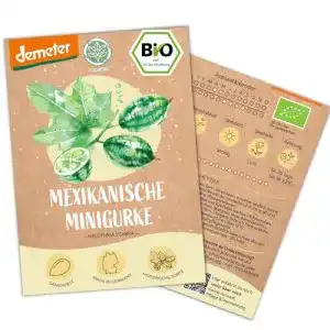 Gurken-Samen Loveplants Bio Mexikanische Minigurken Samen, 10 Stück