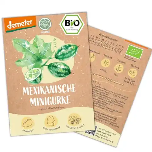 Gurken-Samen Loveplants Bio Mexikanische Minigurken Samen, 10 Stück